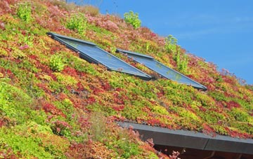 Papworth St Agnes living roof systems