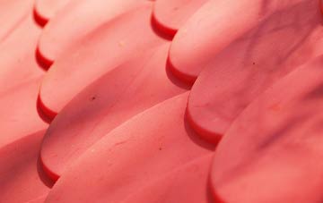 Papworth St Agnes plastic roof costs